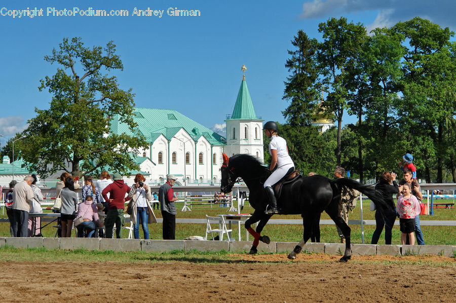 People, Person, Human, Animal, Equestrian, Horse, Mammal
