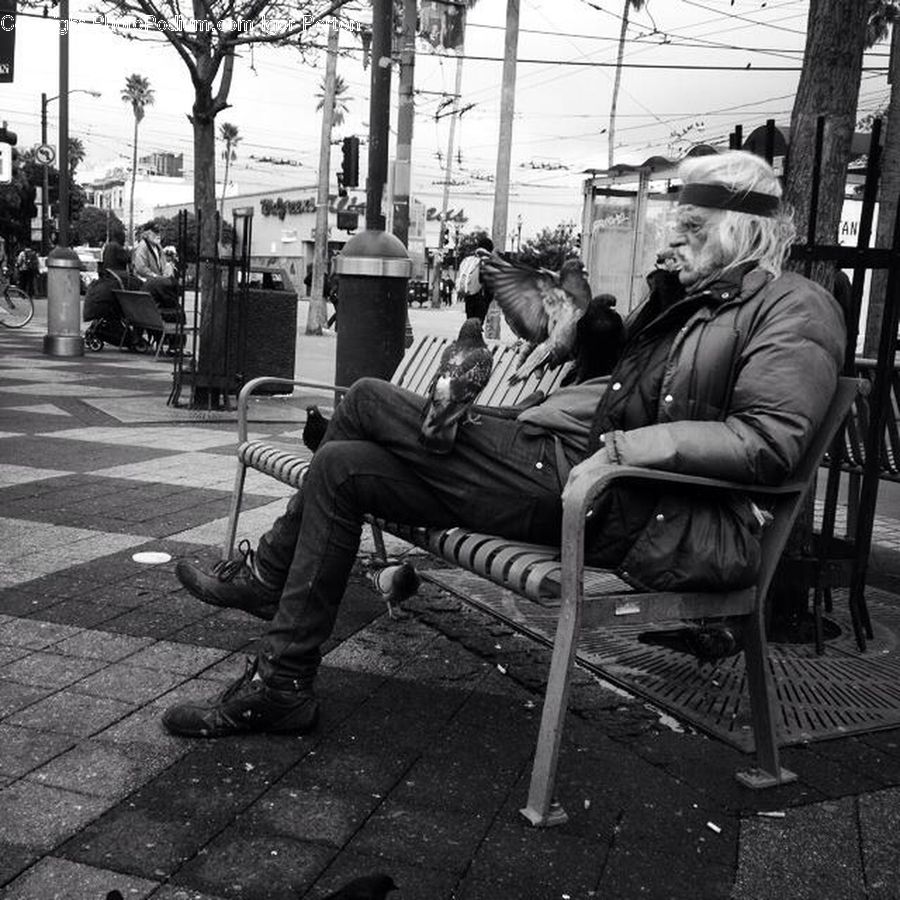 People, Person, Human, Bench, Chair, Furniture, Bird