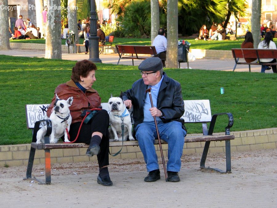 People, Person, Human, Park Bench, Bench, Picnic, Park