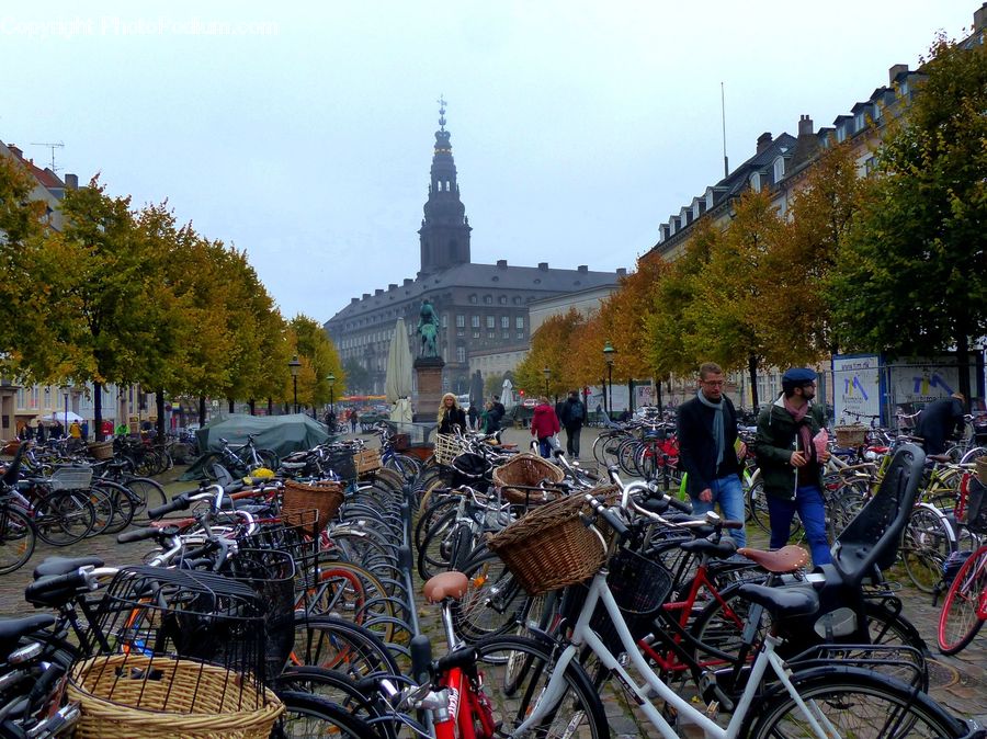 Bicycle, Bike, Vehicle, Carriage, Horse Cart, Cyclist, Shop