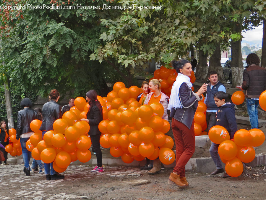 Pumpkin, Squash, Vegetable, People, Person, Human, Citrus Fruit