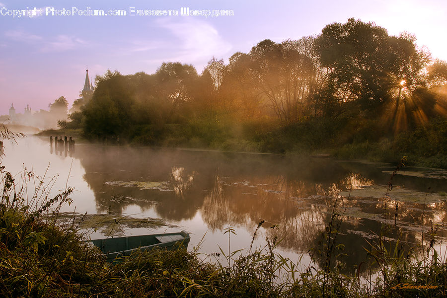 Land, Marsh, Pond, Swamp, Water, Dawn, Dusk