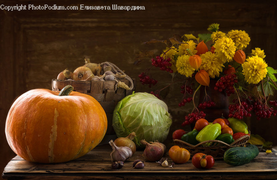 Onion, Produce, Shallot, Vegetable, Cosmos, Pumpkin, Squash