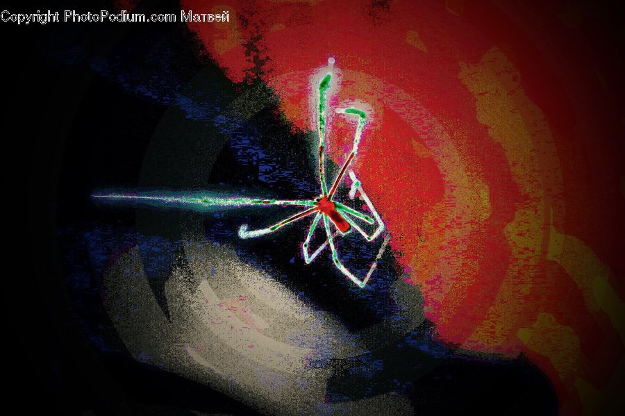 Art, Arachnid, Black Widow, Garden Spider, Insect, Invertebrate, Spider