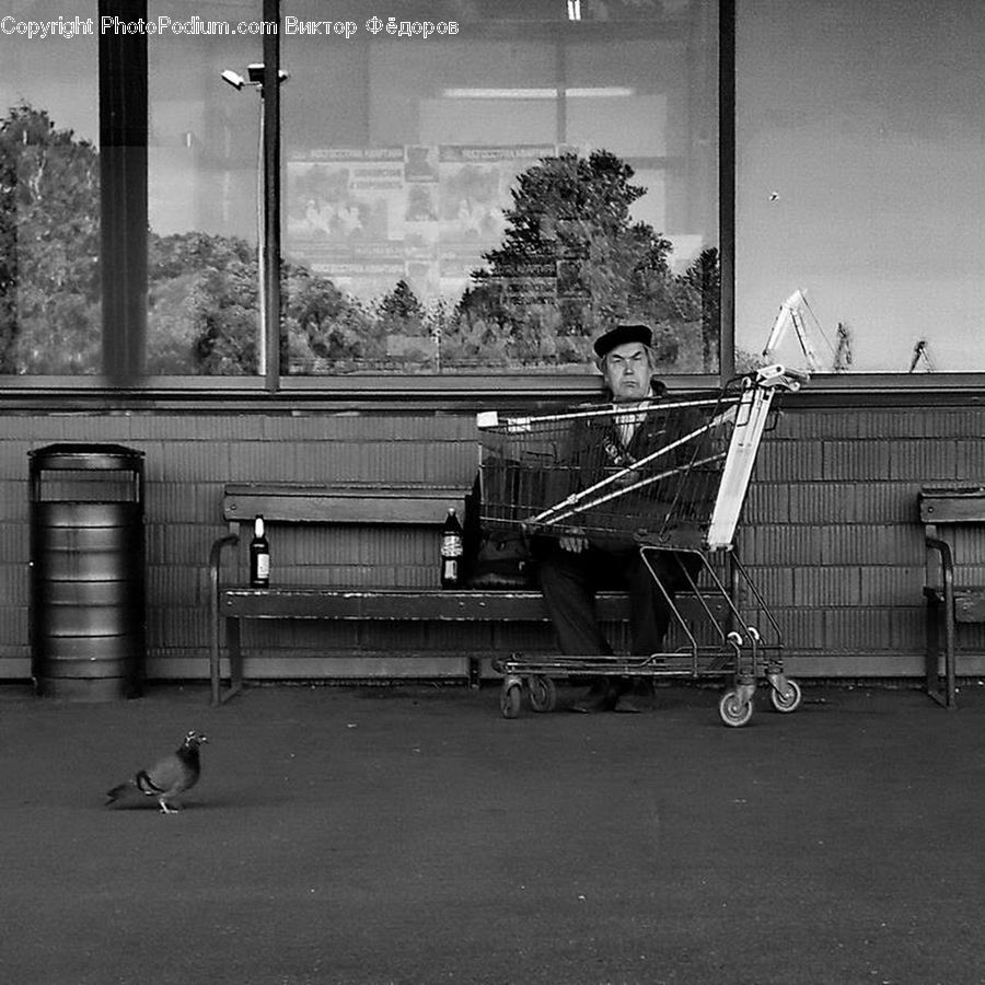Barrel, Bench, Performer, Person, City, Downtown, Urban