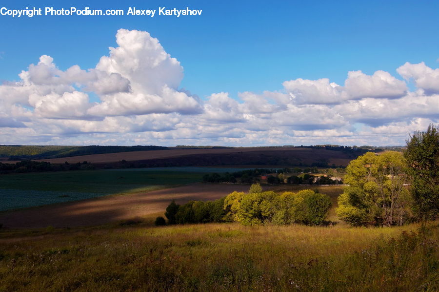 Field, Grass, Grassland, Land, Outdoors, Cloud, Cumulus