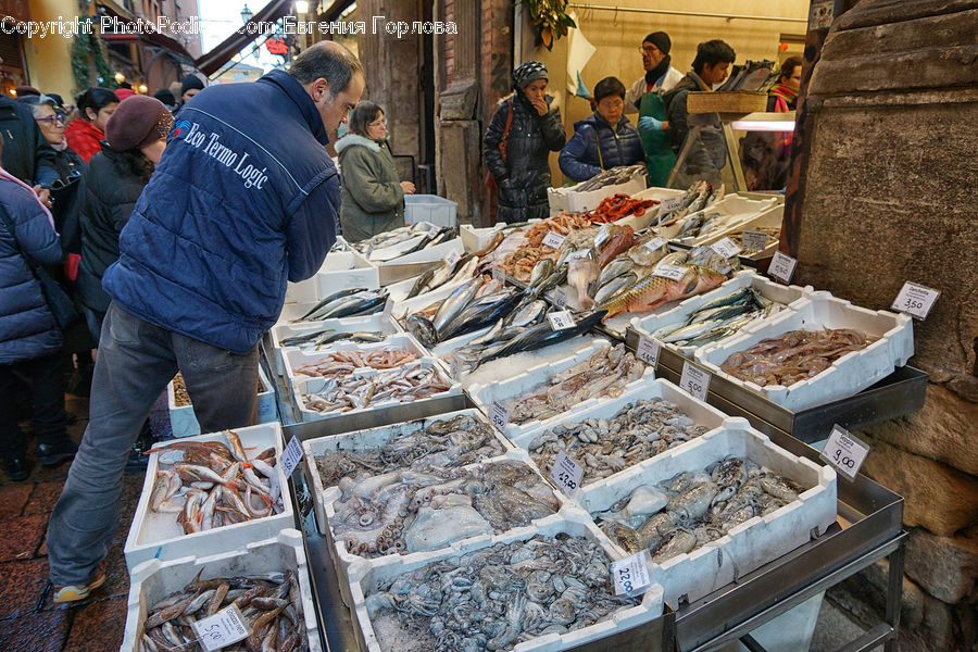 People, Person, Human, Food, Seafood, Bazaar, Market