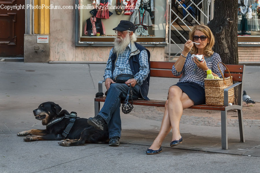 People, Person, Human, Bird, Pigeon, Animal, Canine