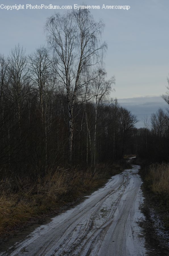 Dirt Road, Gravel, Road