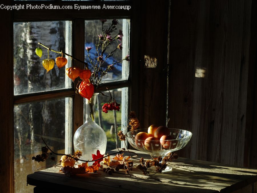 Glass, Goblet, Lantern, Dining Room, Indoors, Room, Blossom