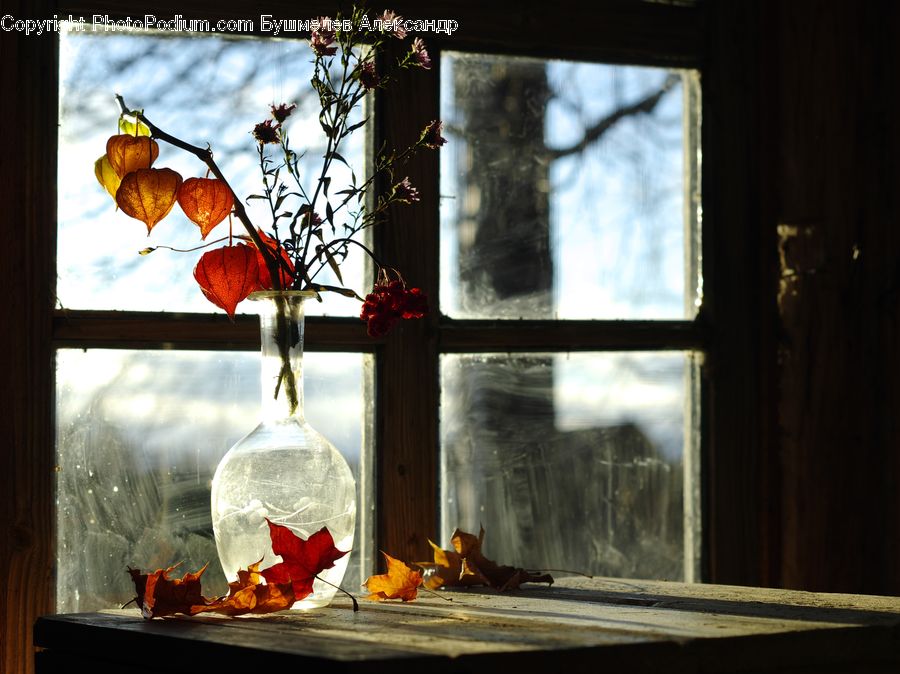 People, Person, Human, Fireplace, Hearth, Window, Collage