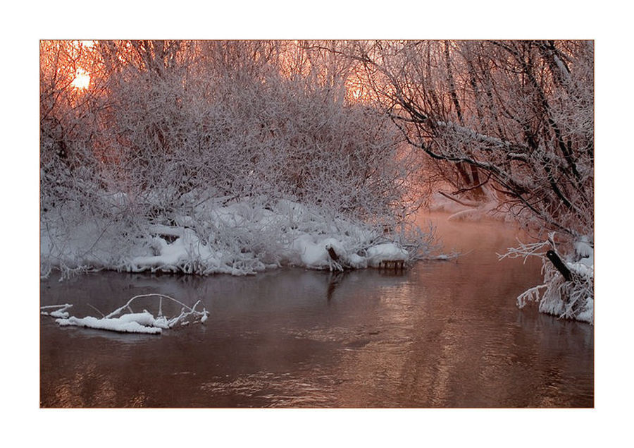 Bird, Swan, Waterfowl, Art, Modern Art, Landscape, Nature