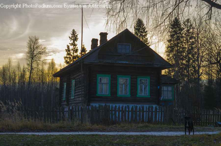 Building, Cottage, Housing, House, Architecture, Mansion
