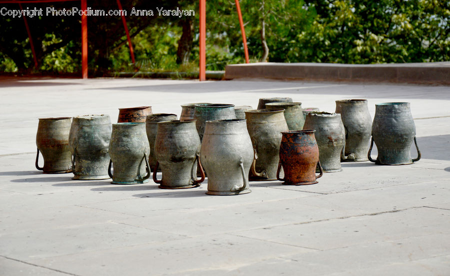 Plant, Potted Plant, People, Person, Human, Pot, Pottery