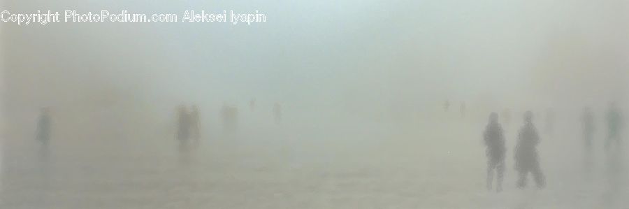 Fog