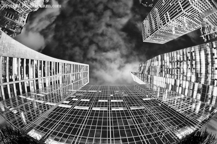 People, Person, Human, Building, City, High Rise, Collage