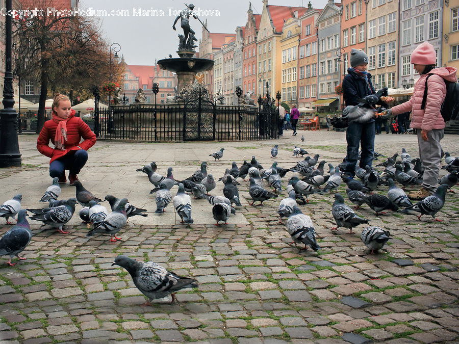 Bird, Pigeon, Human, People, Person, Art, Sculpture
