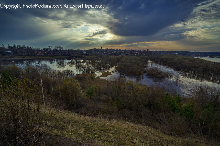 Land, Marsh, Outdoors, Swamp, Water, Field, Grass