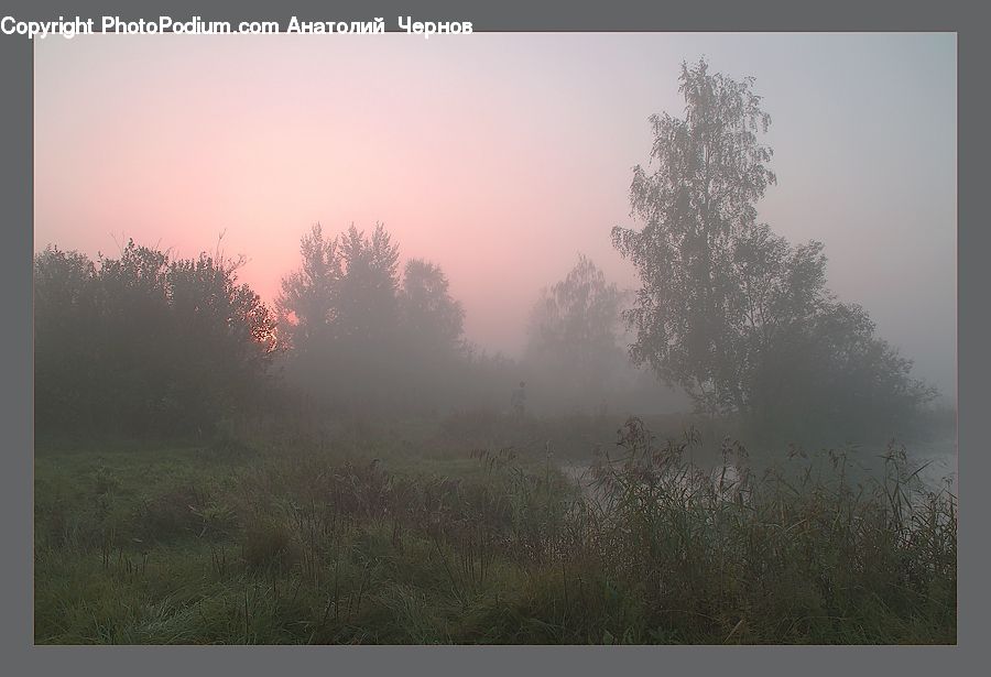 Fog, Mist, Outdoors