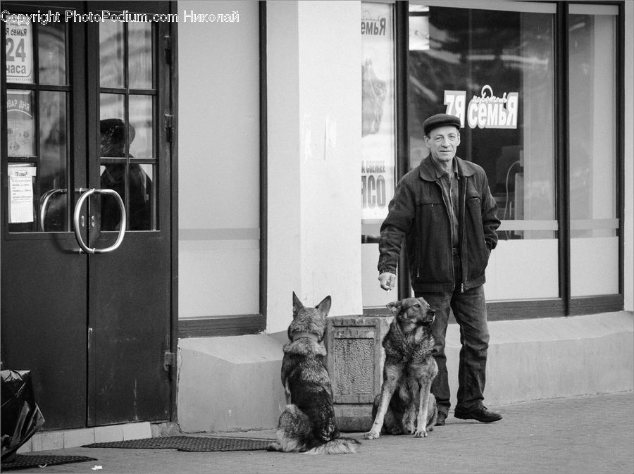 Human, People, Person, Animal, Performer, Transportation, City