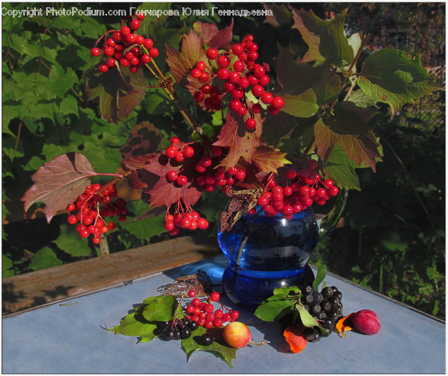 Fruit, Grapes, Plant, Vine, Floral Design, Flower, Flower Arrangement