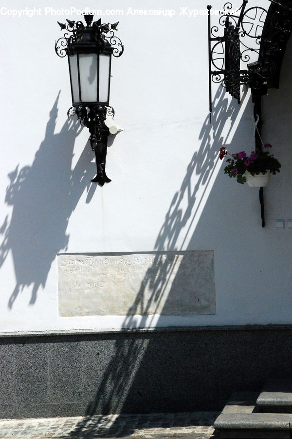 Plant, Potted Plant, Light Fixture, Accessories, Adventure, Bungee, Rope