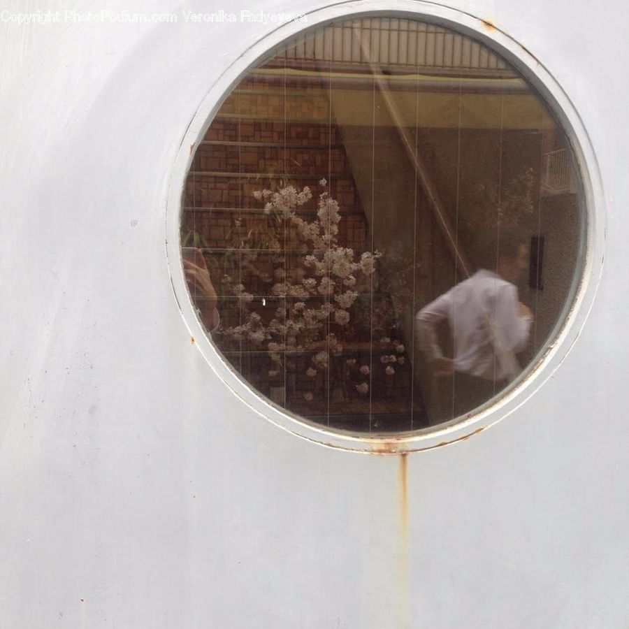 Bird Feeder