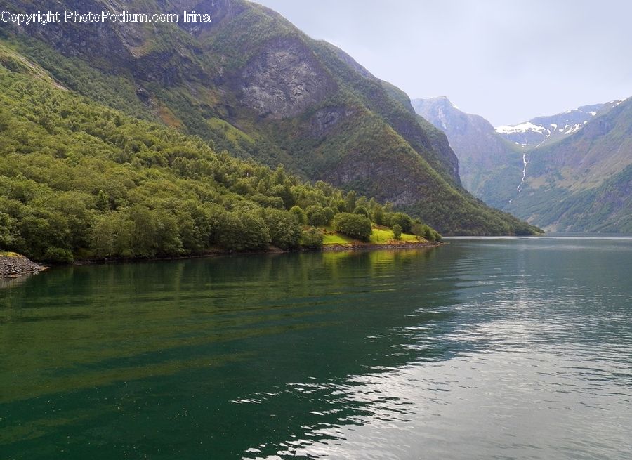 Lake, Outdoors, Water, Nature, Forest, Vegetation, Conifer