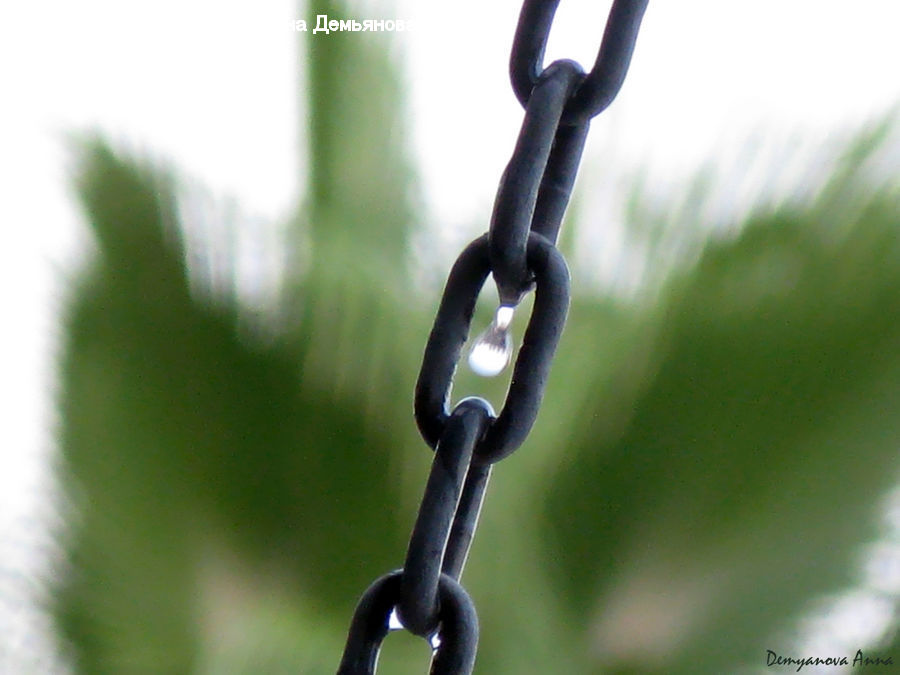 Chain