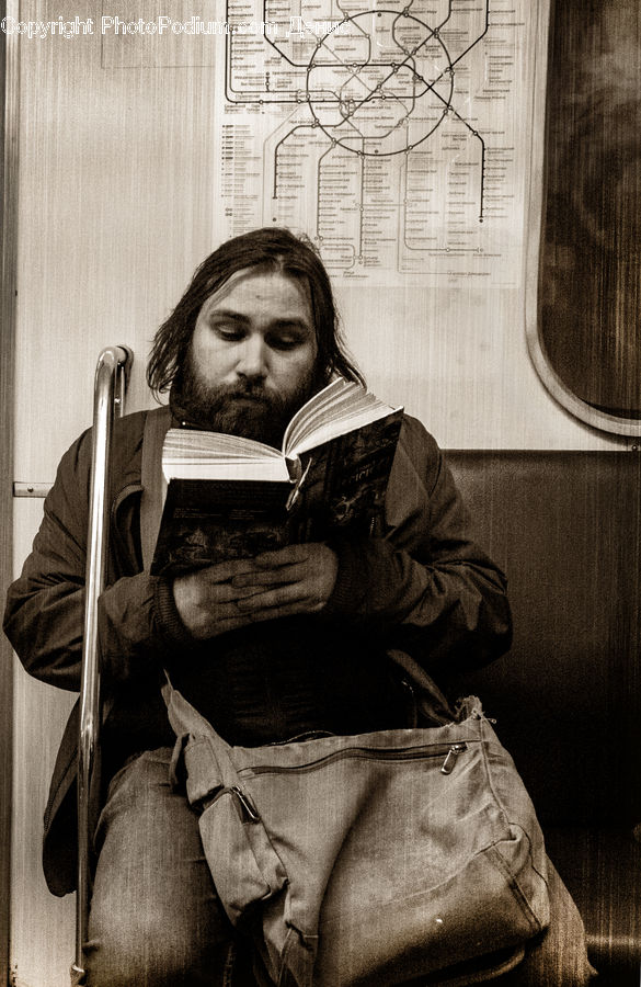 Human, People, Person, Reading, Anubis