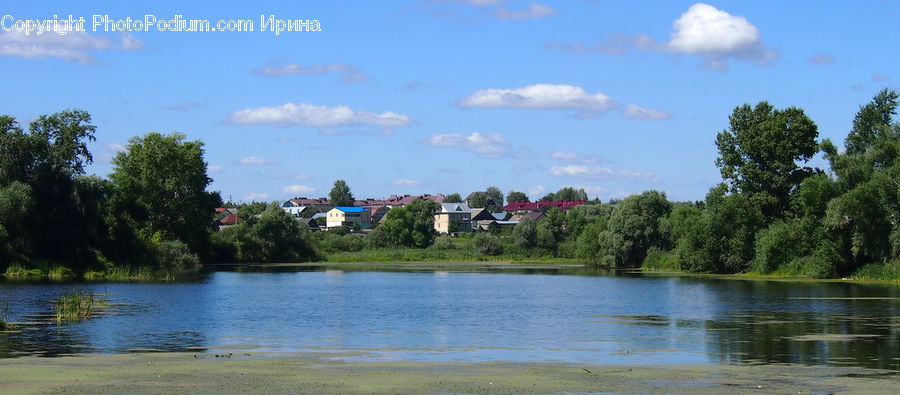 Lake, Outdoors, Water, Field, Grass, Grassland, Plant