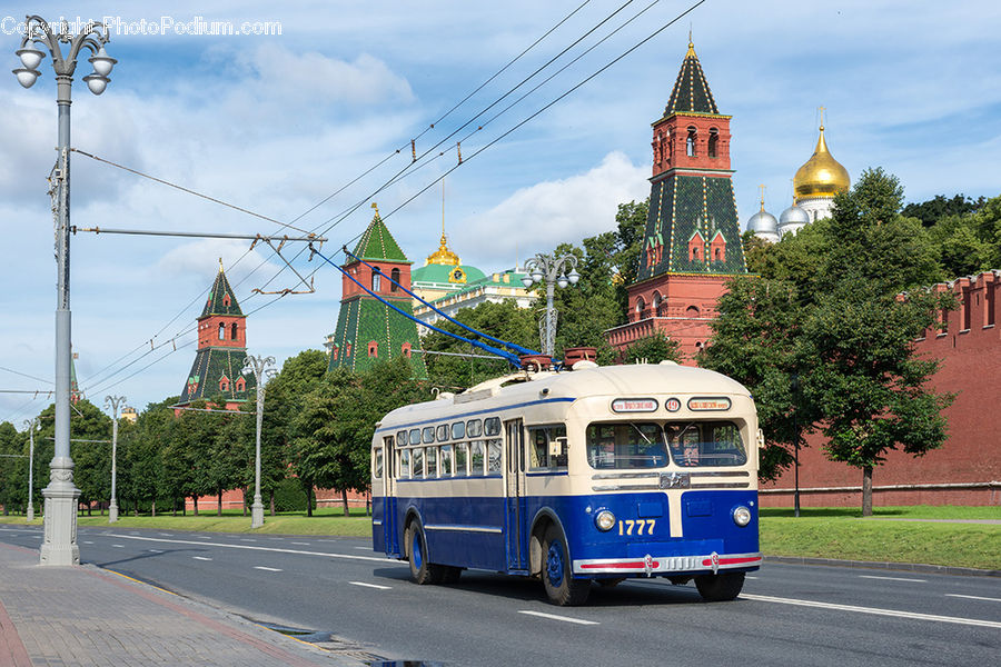Bus, Vehicle, Cable Car, Streetcar, Trolley, Plant, Tree