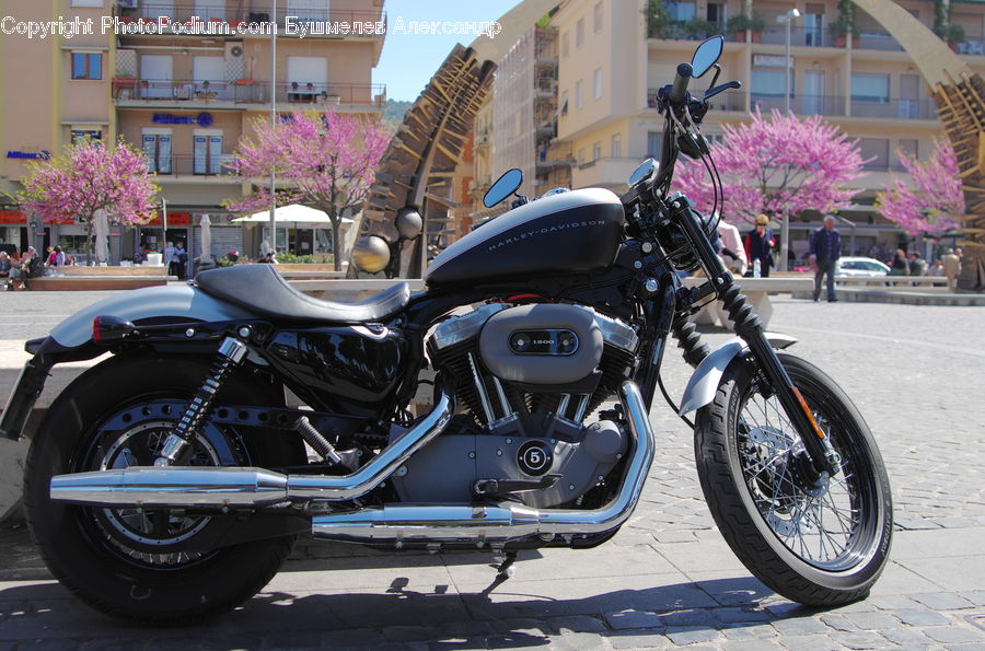 Motor, Motorcycle, Vehicle, Bicycle, Bike, Blossom, Flora