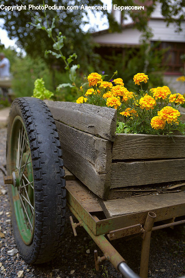 Tire, Barrow, Vehicle, Wheelbarrow, Park Bench, Bench, Herbal