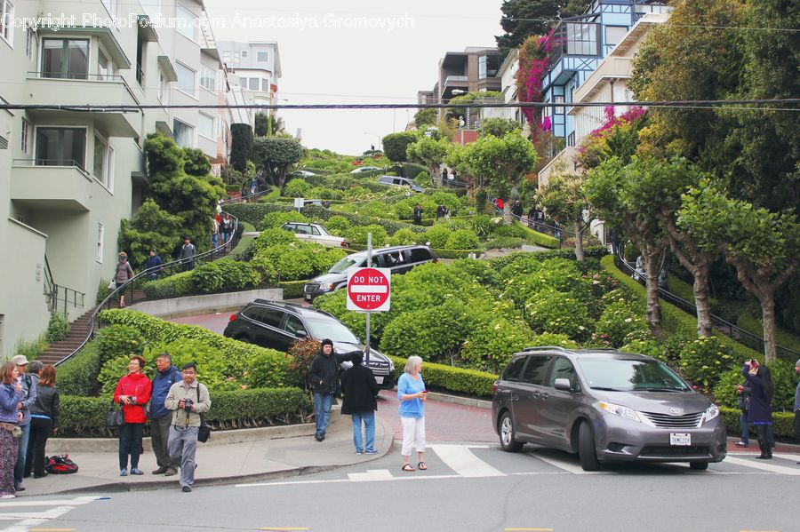 People, Person, Human, Automobile, Car, Vehicle, Plant
