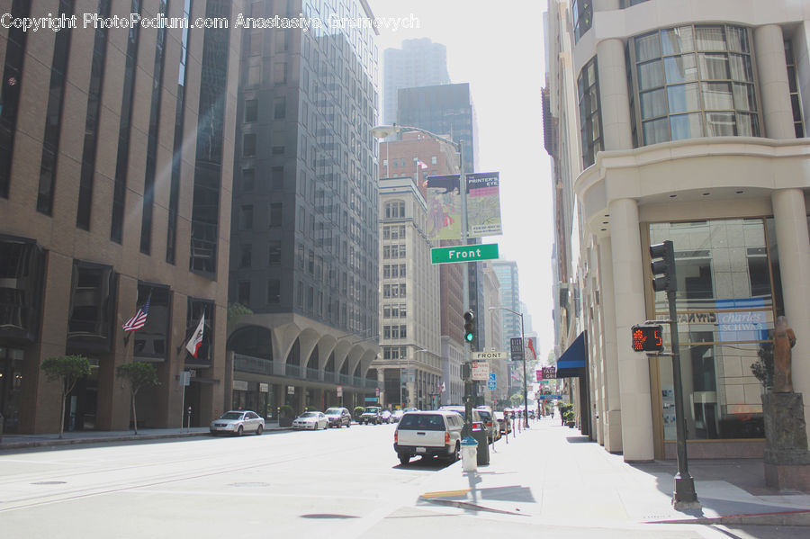 Plant, Potted Plant, Building, City, High Rise, Intersection, Road
