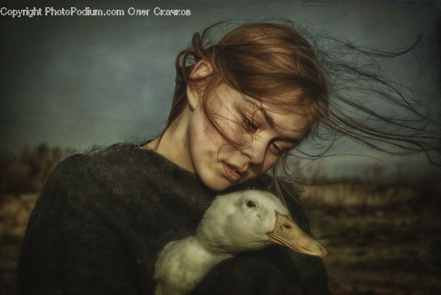 People, Person, Human, Bird, Duck, Teal, Waterfowl