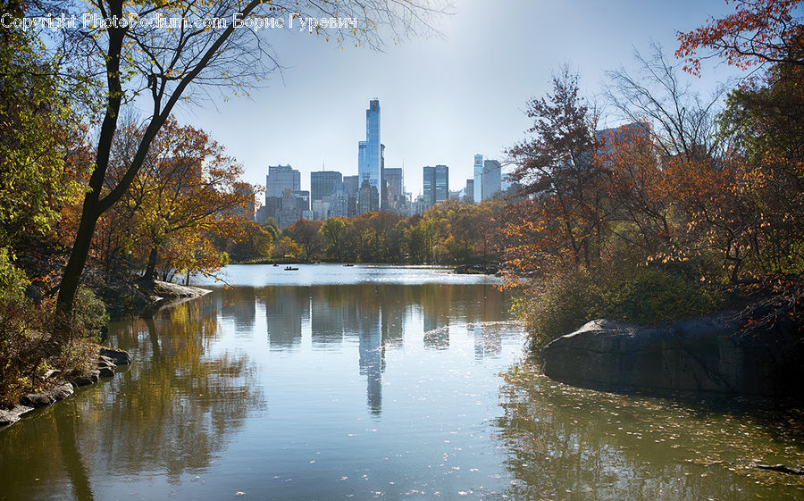 Outdoors, Pond, Water, River, Park, Forest, Vegetation