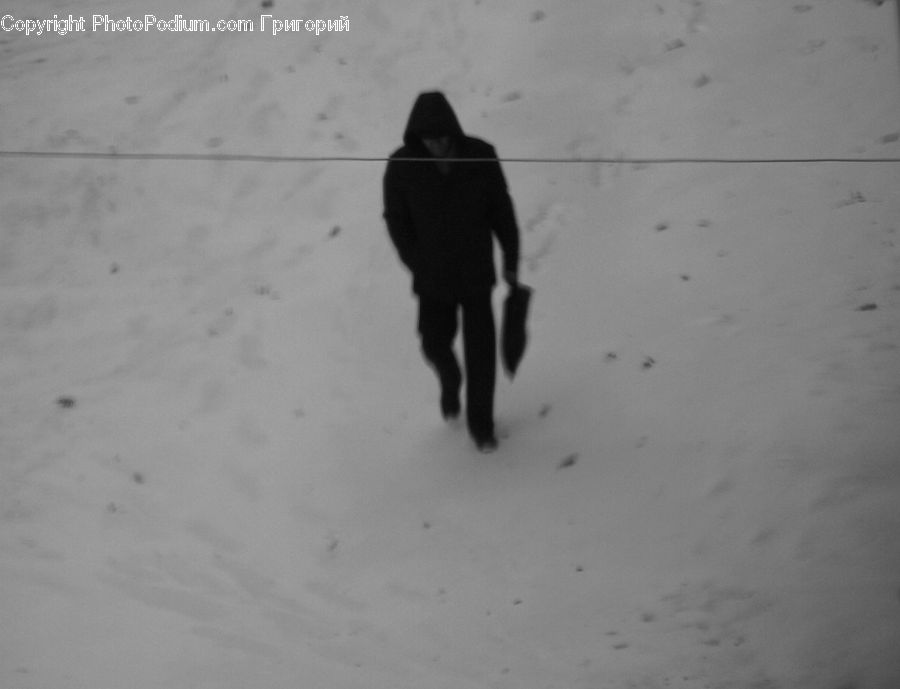 Silhouette, Bird, Blackbird, Crow, Ice, Outdoors, Snow