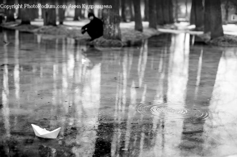 People, Person, Human, Cup, Water, Bird, Waterfowl