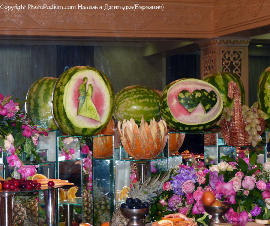 Plant, Potted Plant, Collage, Poster, Fruit, Watermelon, Shop
