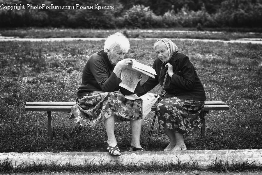 Human, People, Person, Bench, Newspaper, Text, Park Bench