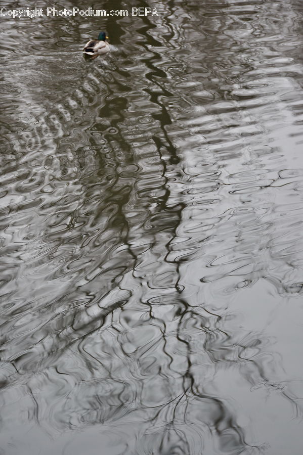 Outdoors, Ripple, Water, Sand, Soil