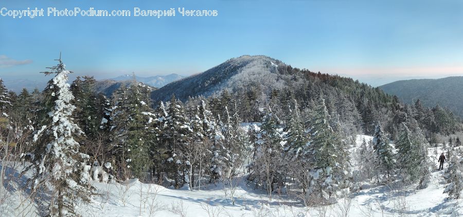 Crest, Mountain, Outdoors, Peak, Conifer, Fir, Plant