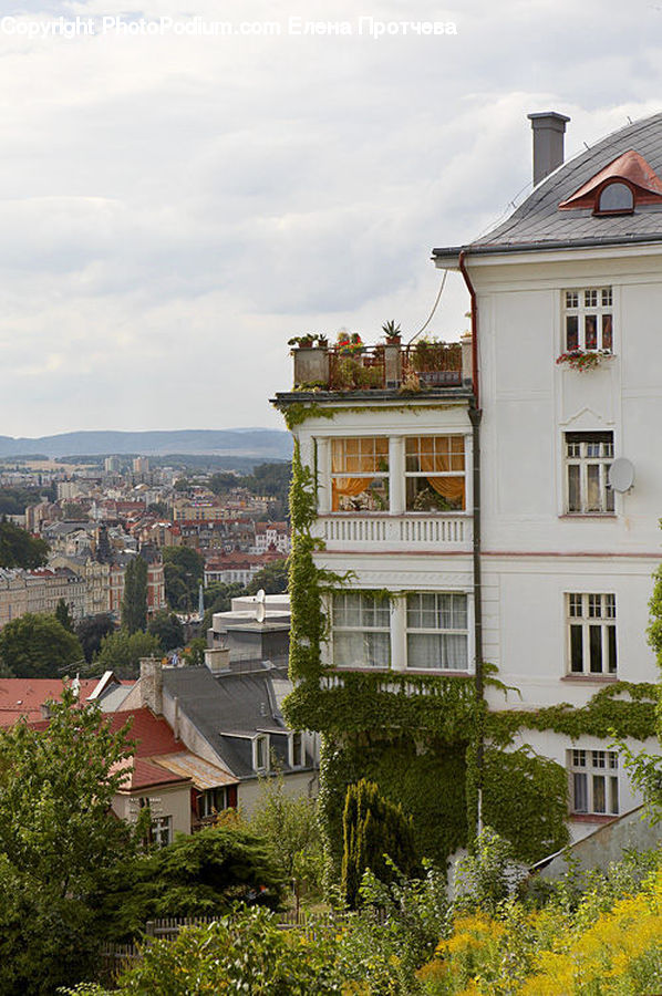 Balcony, Roof, Architecture, Housing, Monastery, Forest, Vegetation
