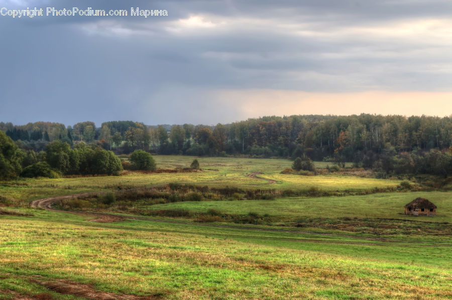Field, Grass, Grassland, Land, Outdoors, Countryside, Meadow