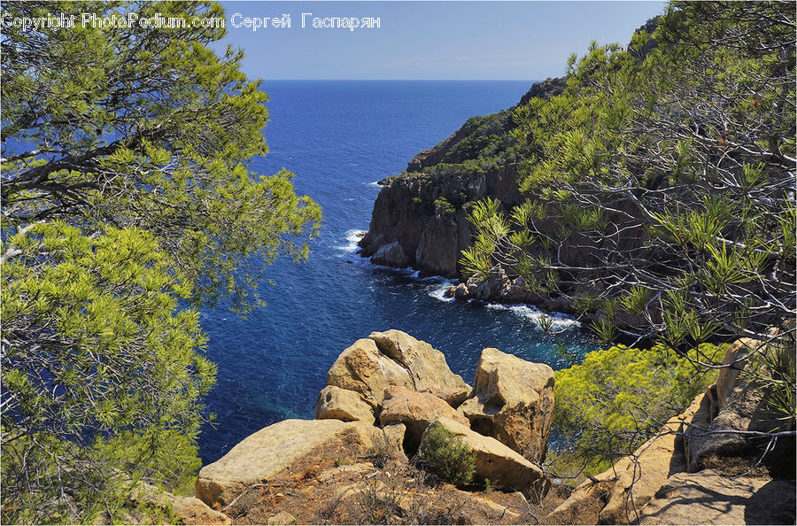 Cliff, Outdoors, Rock, Conifer, Fir, Plant, Tree