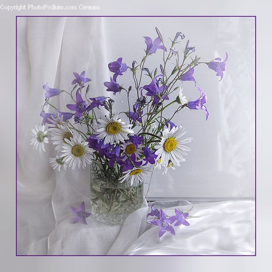 Flower, Flower Arrangement, Flower Bouquet, Blossom, Crocus, Flora, Plant
