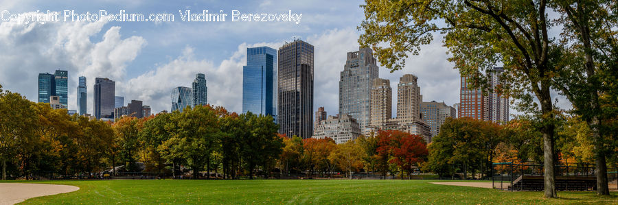 Park, Field, Grass, Lawn, Building, City, High Rise