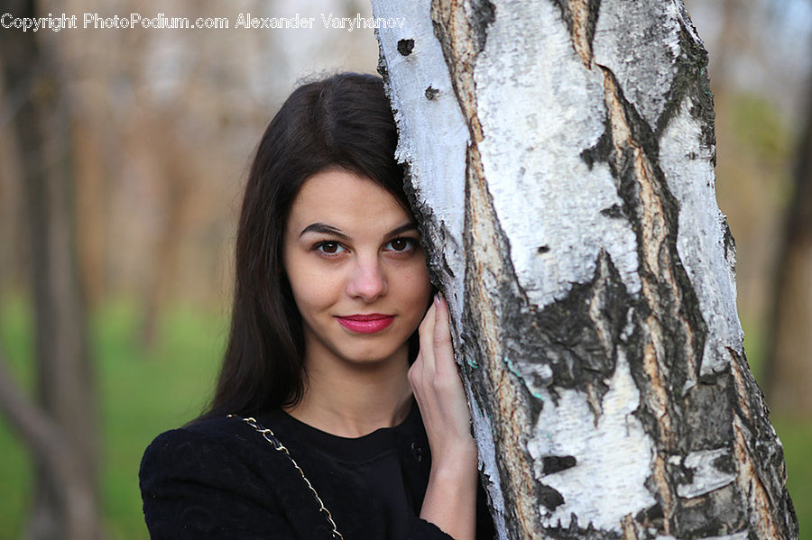 Human, People, Person, Birch, Tree, Wood, Female